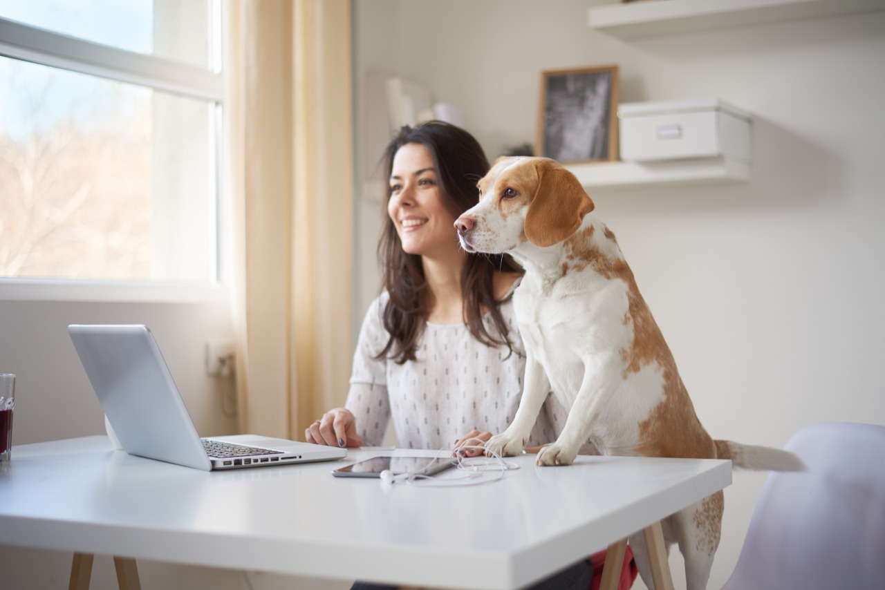 Cadê os empregos remotos? Retomada pós-vacina derruba oferta de vagas em home office