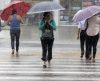 Semana começa com chuva e tempo nublado em Franca e região, mas calor continua - Jornal da Franca