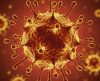 Superbactérias: A outra ‘pandemia’ que a Covid-19 veio acentuar – descubra o motivo! - Jornal da Franca
