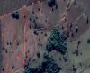 Imagem de satélite: Polícia Ambiental multa fazendeiro por desmatamento irregular - Jornal da Franca