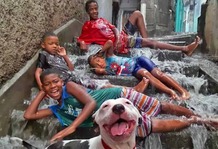 Foto de crianças na chuva e cachorro sorrindo viraliza: “Estavam todos felizes”