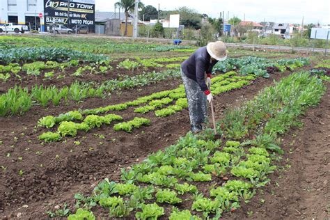 Câmara votará projeto que reestrutura as hortas comunitárias em Franca