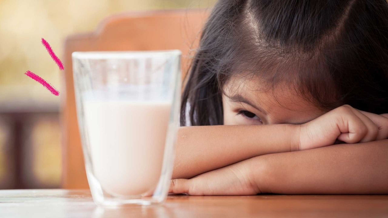 Câmara de Franca avalia projeto de assistência a alunos com distúrbios alimentares
