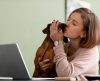 Governo de São Paulo sanciona lei que cria Programa de Proteção a Animais Domésticos - Jornal da Franca