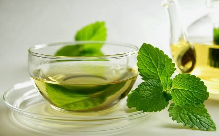 Suco detox de hortelã ajuda a melhorar aparência da pele; gostoso e fácil de fazer