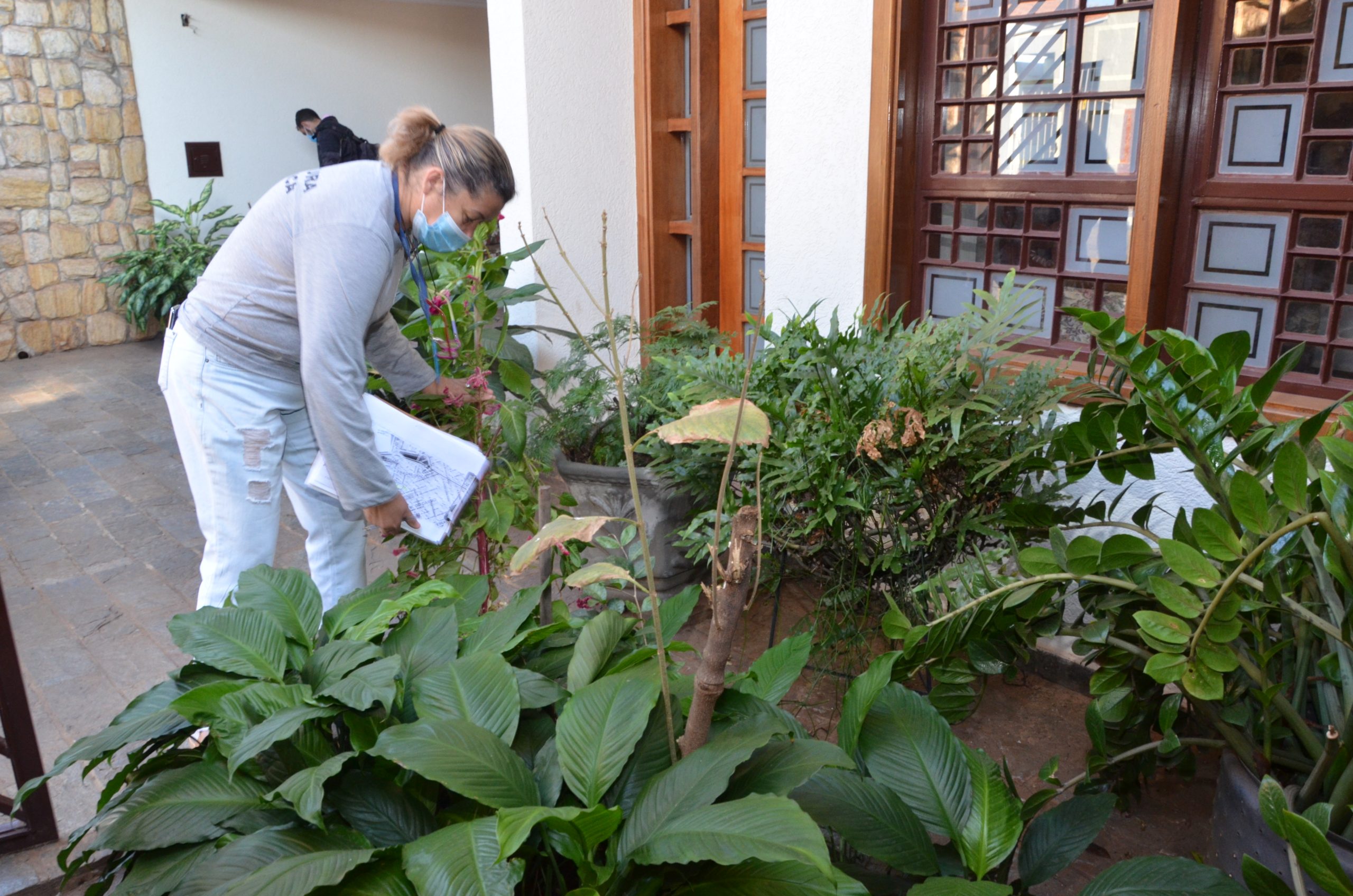 Com mais de 1,4 mil casos de dengue, Franca reforça combate e medidas preventivas