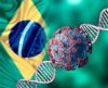 Brasil registra 31,6 mil diagnósticos confirmados de Covid apenas neste domingo (16) - Jornal da Franca