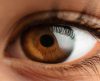 Olhos são a chave para a verdadeira idade biológica – veja o que diz estudo inédito! - Jornal da Franca