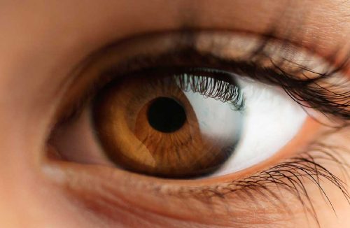 Olhos são a chave para a verdadeira idade biológica – veja o que diz estudo inédito! - Jornal da Franca
