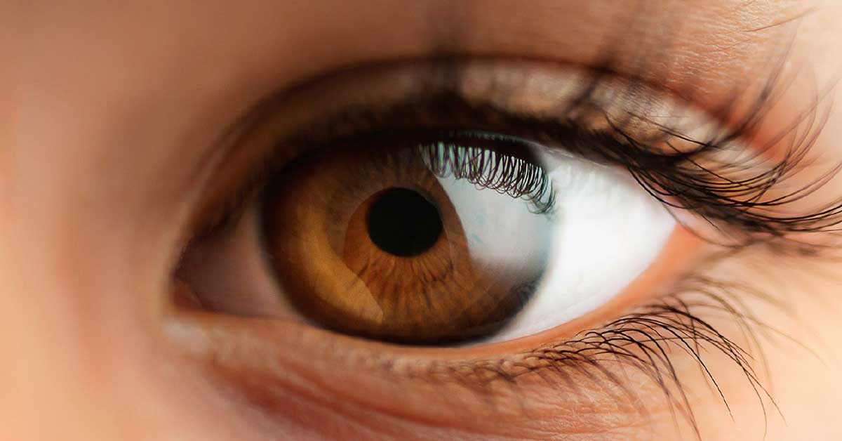 Além do sistema respiratório, aumento de queimadas compromete saúde dos olhos