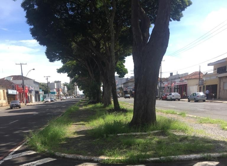 População reclama da limpeza urbana de Franca: mato invade a Presidente Vargas