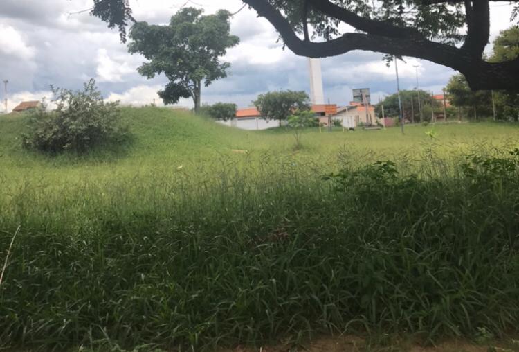 No Paineiras, escola fica perto de matagal; população reclama falta de manutenção