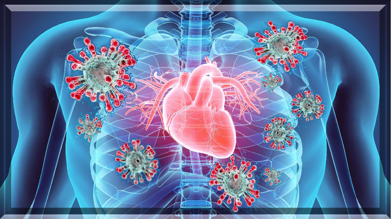 Risco de doença cardiovascular aumenta após a Covid-19, diz estudo