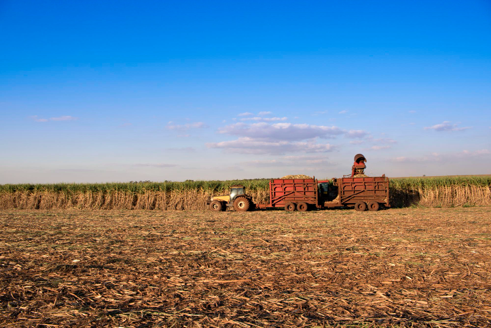 Exportações do agro paulista aumentam 9,5% em 2021; produção foi de R$ 122 bilhões