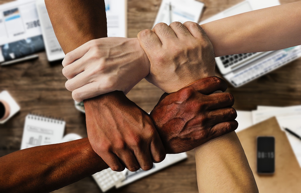 1° Conferência de Promoção da Igualdade Racial de Franca acontece neste sábado, 05