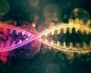 Aprimorado, novo teste de DNA detecta 50 doenças diferentes de uma só vez - Jornal da Franca