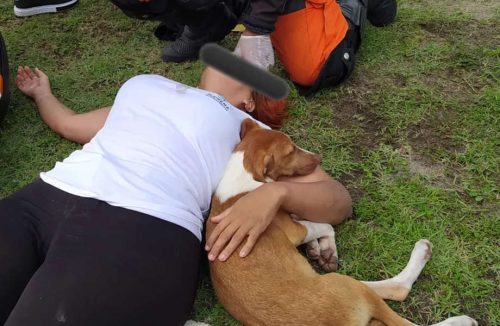 Mulher cai de moto ao desviar de cachorro e animal fica do lado dela durante socorro - Jornal da Franca