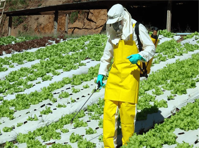 Em Franca, Caminhos para o Emprego oferece cursos gratuitos na área de agropecuária
