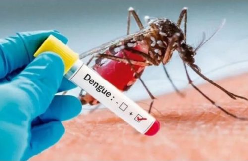 Franca já tem registrados quase 600 casos de dengue e o 1º óbito pela doença em 2024 - Jornal da Franca