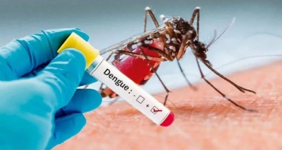 Franca já tem registrados quase 600 casos de dengue e o 1º óbito pela doença em 2024