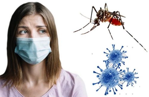 Dengue ou Covid? Veja como diferenciar sintomas das duas doenças - Jornal da Franca