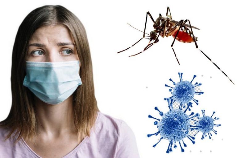 Dengue ou Covid? Veja como diferenciar sintomas das duas doenças