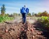 Guerra será “catastrófica” para alimentação global, diz gigante dos fertilizantes - Jornal da Franca