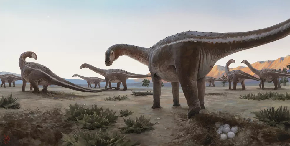 Ninho com 20 ovos de dinossauros é encontrado a 125 quilômetros de Franca