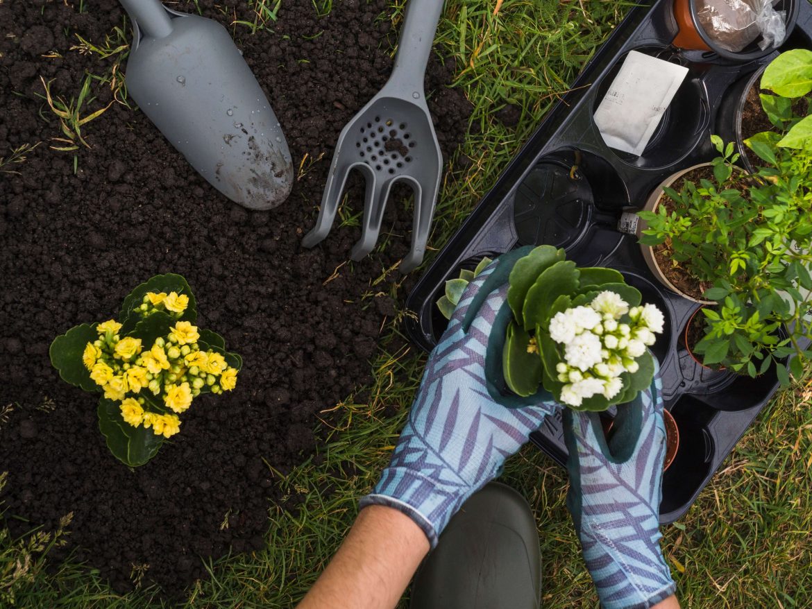 Praticar jardinagem pode ajudar a reduzir o risco de morte em até 20%; entenda!