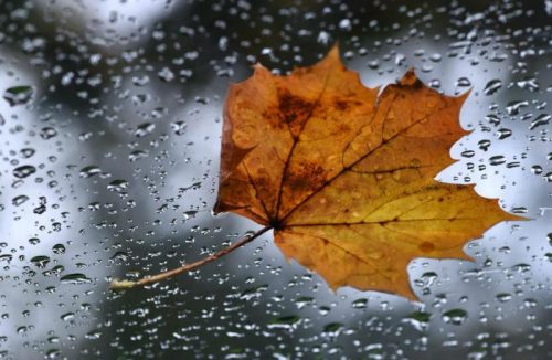 Outono chega derrubando temperatura e trazendo chuva para todo o país - Jornal da Franca