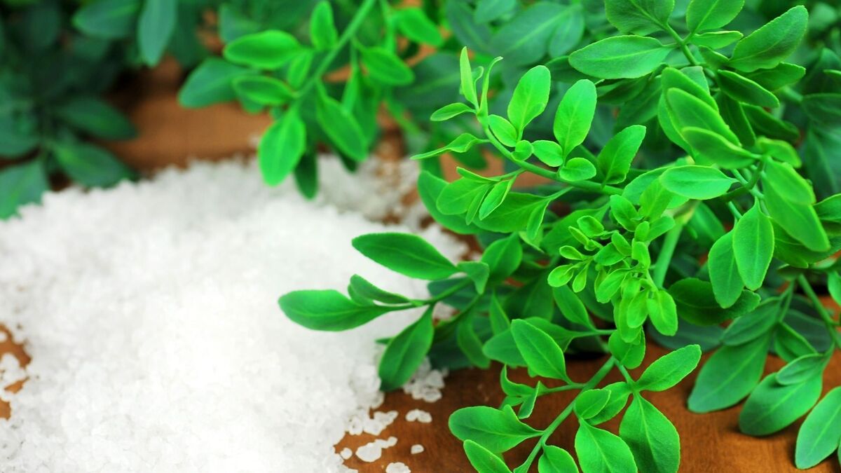 Precisando se livrar de energias negativas? Então confira essas dicas!