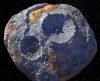 Asteroide pode valer mais que toda economia global e a Nasa vai viajar até ele - Jornal da Franca