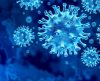 Novas variantes do coronavírus estão a caminho, indica estudo brasileiro - Jornal da Franca