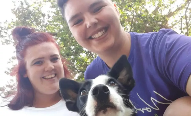 Cachorro perdido anda quilômetros, pega ônibus sozinho e volta bem para sua casa