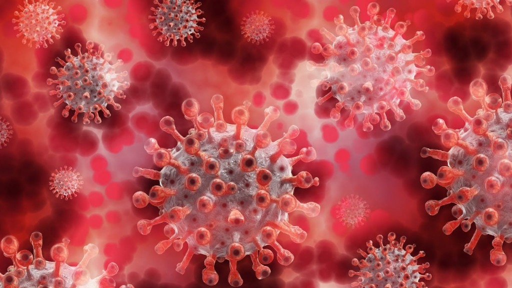 Novo coronavírus causa 17 mil novas infecções em 24 horas, diz Ministério da Saúdee