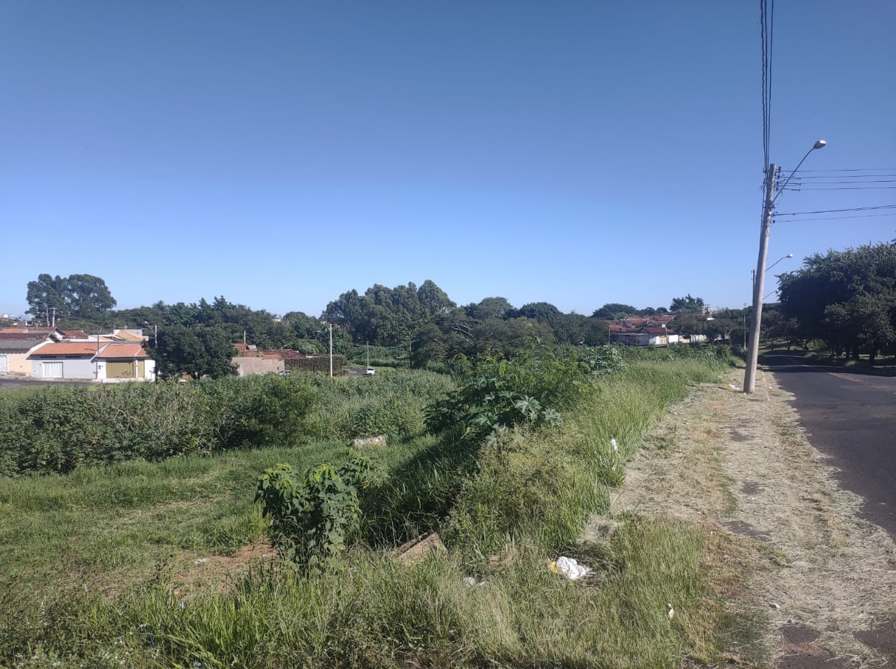 Córrego do Parque do Horto: Graciela pede canalização para o governo do Estado