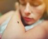 Confira 6 mitos sobre a dengue que você não fazia ideia - Jornal da Franca
