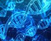 Cientistas sequenciam 100% do genoma humano, concluindo o trabalho de 20 anos - Jornal da Franca