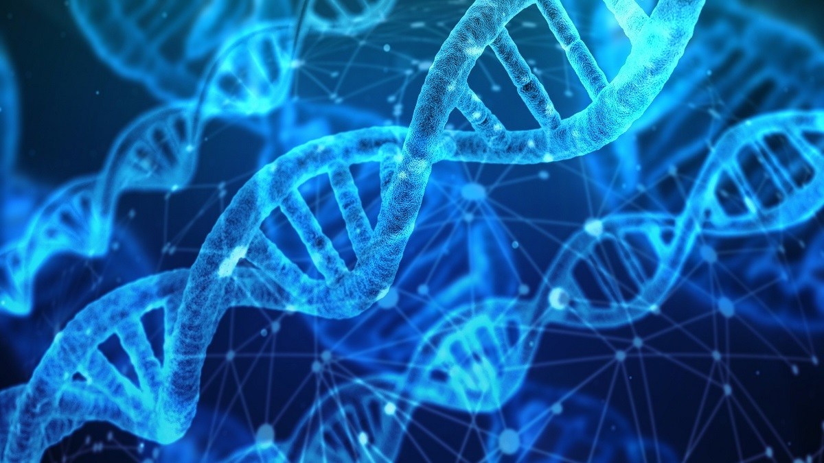 Cientistas sequenciam 100% do genoma humano, concluindo o trabalho de 20 anos