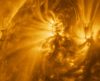 Foto do Sol mostra forma humana? Veja o que há por trás e o que diz a ciência - Jornal da Franca