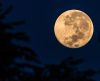 Fim de semana de Páscoa terá atração especial no céu noturno com lua cheia “rosa” - Jornal da Franca