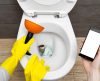 Seu vaso sanitário entupiu? Veja aqui 7 formas de resolver o problema! - Jornal da Franca