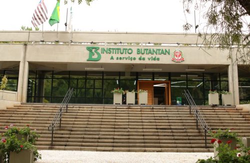 Covid-19: Instituto Butantan identifica nova variante recombinante em São Paulo - Jornal da Franca