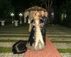 Fantasiada de rainha, ex-noiva faz festa de “descasamento” com ingressos esgotados - Jornal da Franca