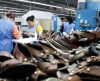 Produção de calçados no país deve crescer 1,6% durante este ano, segundo Abicalçados - Jornal da Franca