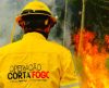 Para combater incêndios florestais, governo de São Paulo investe R$ 83 milhões - Jornal da Franca
