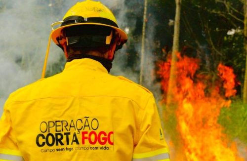 Para combater incêndios florestais, governo de São Paulo investe R$ 83 milhões - Jornal da Franca