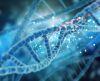 Novo teste de DNA permite saber de quem você herdou suas características - Jornal da Franca