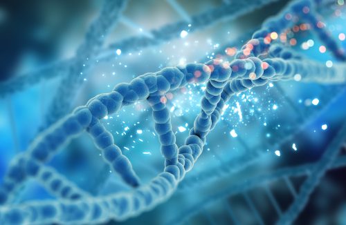 Novo teste de DNA permite saber de quem você herdou suas características - Jornal da Franca