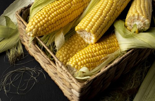 Rei das festas juninas: conheça todos os benefícios do milho para a saúde! - Jornal da Franca